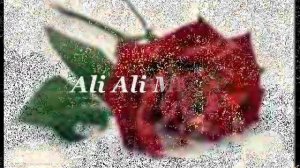 Imam Ali - - Ali Ali Mevla- Shia Song