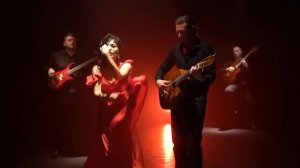 Flamenco- The Dance at the Heart of Spain