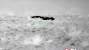 Охота на шакалов ночью. Экономлю патроны.