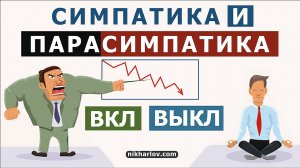 ? Симпатическая нервная система и Парасимпатическая нервная система Влияние на внутренние органы