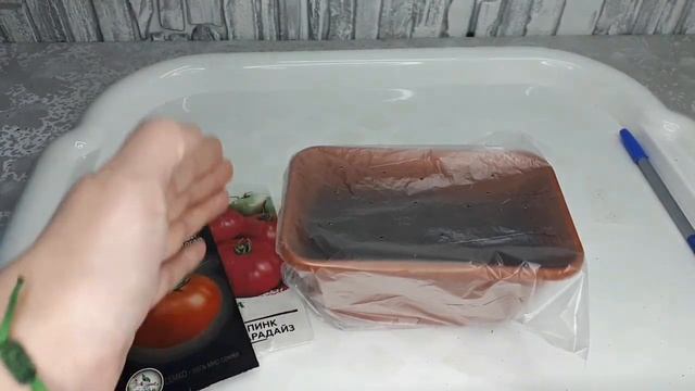 Посев томатов для раннего урожая! И среднеспелых сортов и гибридов! #томаты #посевтоматов #урожай
