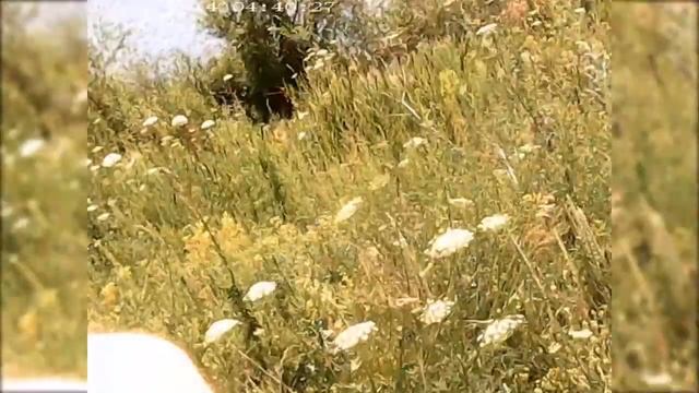 река сундук  оренбурская область посёлок майский
