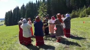 Русская хороводно-игровая песня  «Александровская берёза»