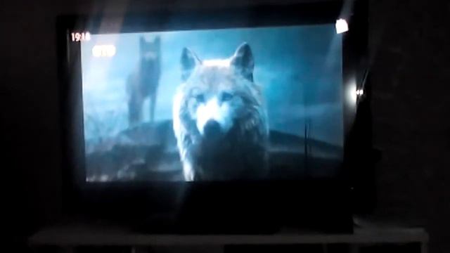 Кот смотрит фильм про маугли смотреть онлайн