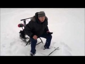 Мотосани Муравей 2015