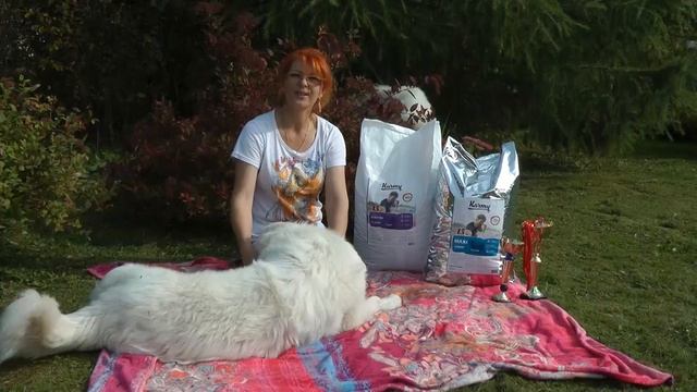 "GRECHANIK GUARDS" представил компанию KARMY на междунородной выставке зоотоваров смотреть онлайн