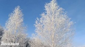 13 февраля народный праздник День Никиты. Что нельзя делать. Народные традиции и приметы.