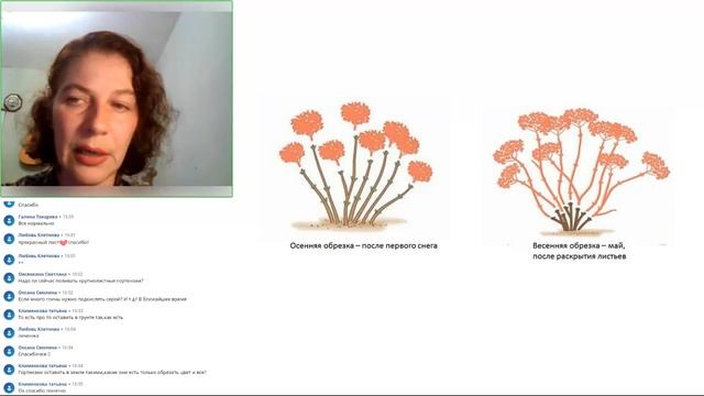 Коротко о самых главных осенних садовых проблемах смотреть онлайн