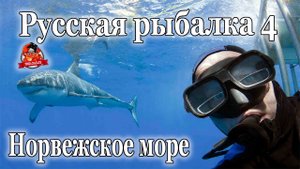 Русская рыбалка 4 Трололо и упущенный мега фарм