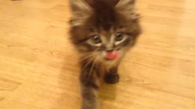 я поел и могу баловаться смотреть онлайн