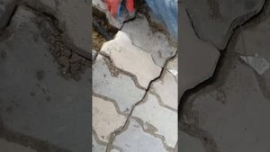 Как разобрать тратуарную плитку.