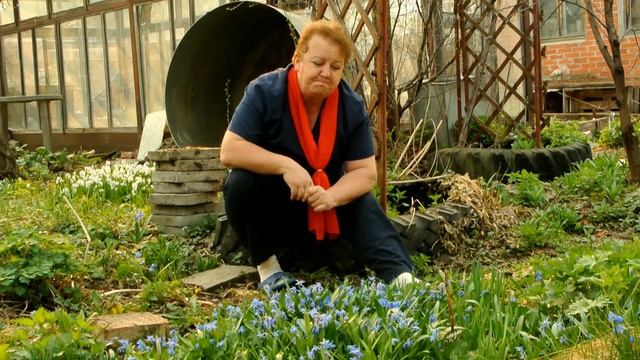 Сажаем дерево. Правила и природное земледелие Применяем опыт Зеппа Хольцера.