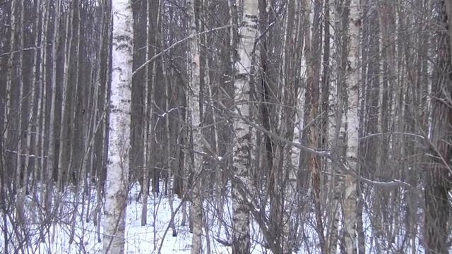 Работа Дружка по Лосю смотреть онлайн