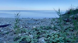 Джанхот. Вид окрестностей, пешая прогулка от Джанхота до Голубой бездны.