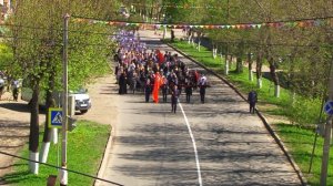 Одна на всех - мы за ценой не постоим. Песня: "Журавли", исполняет Денис Дмитриев