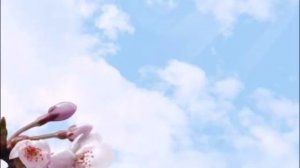 ♥X Анимационные Открытки GIF X♥ Встречай весну с нами!