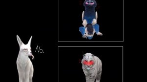 WILDCRAFT HEAT FRRR💯😤🥶🥶🔥 (audio 16+)