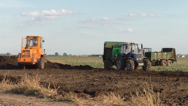 навоза разбрасыватель мту 18 смотреть онлайн