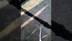Рыбалка в Сочи октябрь
