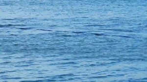 Z270 или Акваланг на батарейках (Z270 or Battery operated Scuba)