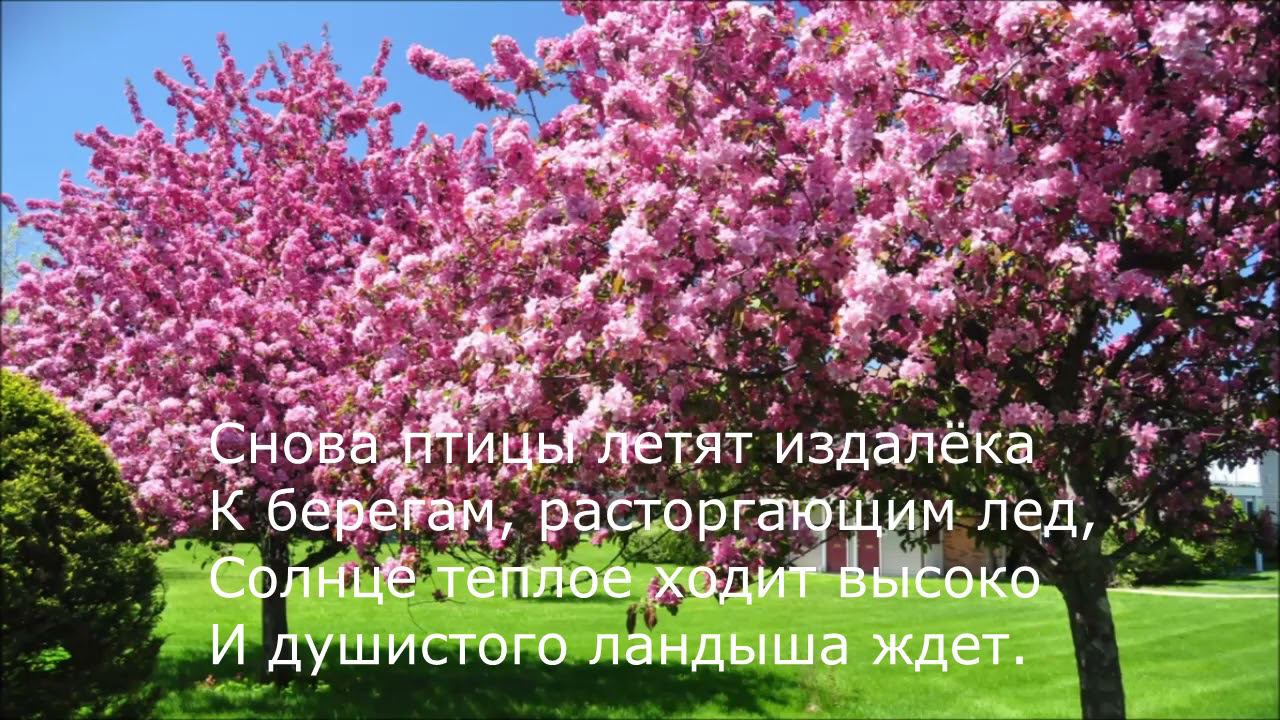 Афанасий Фет - Весенние мысли смотреть онлайн