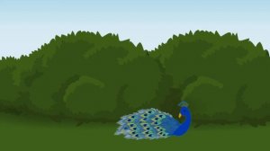 ИЗУЧАЕМ ПТИЦ! РАЗВИВАЮЩИЕ МУЛЬТИКИ ДЛЯ МАЛЫШЕЙ! ГОЛОСА ПТИЦ!