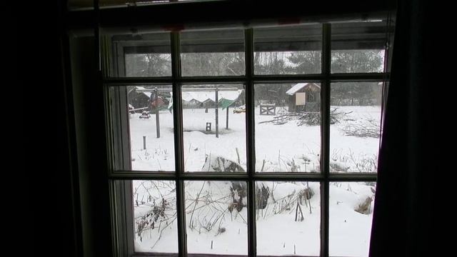 Nikon P500 camera on a snowy day 2 panes of glass смотреть онлайн