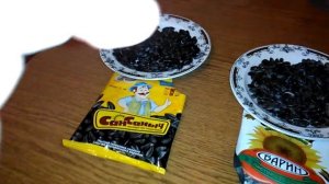 Обзор на жареные семена подсолнечника