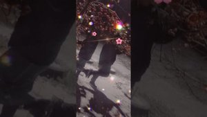 ?цыганские ? песни ?весёлые ??