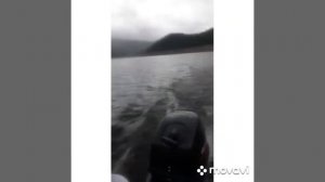 Отдых в заливе "Джойка" за Саяно-шушенской ГЭС 04.06.2022