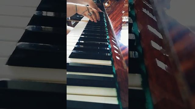 Я иду такая вся в Дольче Габбана - Верка Сердючка, ДВОЙНАЯ кавер-версия рояль без вокала смотреть онлайн