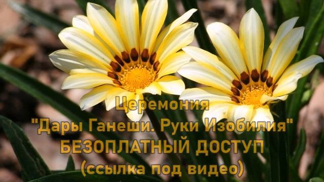 СВОЕ ЧУЖОЕ МНЕНИЕ-ченнелинг смотреть онлайн