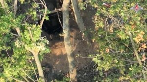 Боевая работа штурмовых подразделений ВДВ в зоне СВО
