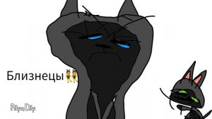 Коты воители: какой ты кот воитель по знаку зодиака?(мои ос)