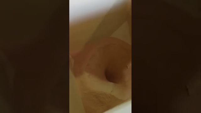 Тонкое измельчение дрожжей смотреть онлайн