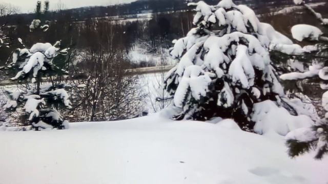 7 ноября 2023 г. смотреть онлайн