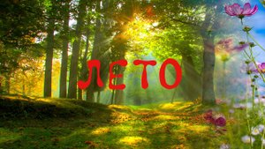 С первым днем лета! Красивое, трогательное поздравление с приходом лета