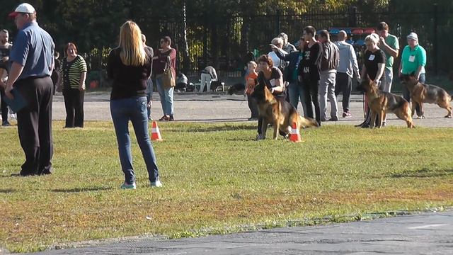 №17 ZAKHAR NO BARTAS KRASTA смотреть онлайн