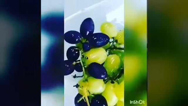 Greenleaf I life Многофункциональное
растительное очищающее средство. смотреть онлайн