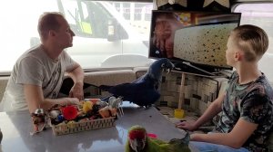 Мы на ТВ,на центральном канале. Попугай ара, какаду, Гиацинтовый Ара, говорящий попугай.