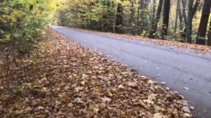 Ралли на ауди 80 кватро