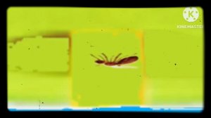 Angry Birds Remastered Cinematic Trailer