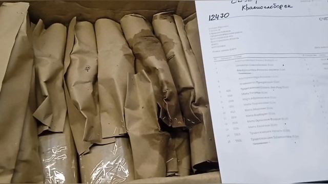 Заказ цветов у "Завод Флоры". Мята, традисканции, эсхинантус, альтернатера, цианотис. НОВИНКИ 2024!
