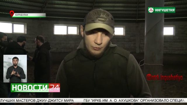 Обучение верховой езде. смотреть онлайн