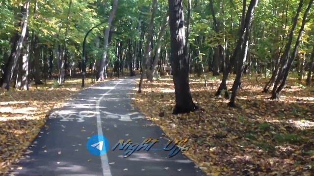 Уфимский карстовый лес за ул. Р. Зорге. Сентябрь 2023 г. смотреть онлайн