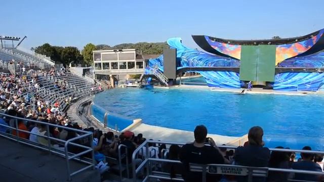 Представление с касатками 4 смотреть онлайн