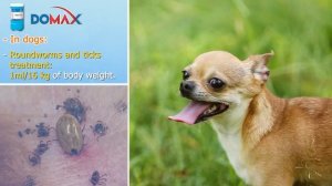 DOMAX FOR PETS - Treatment of internal and external parasites| VEMEDIM