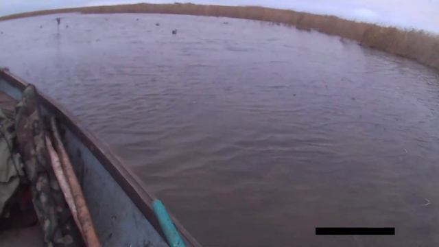 Хорошая охота в Краснодарских лиманах 2020