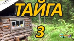 Тайга 3 из 4