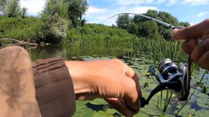 ЗА голавлём в БРОД на малую реку! В ИЮЛЬСКУЮ ЖАРУ. Рыбалка на спиннинг  летом